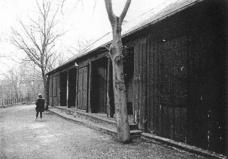 1980.jpg