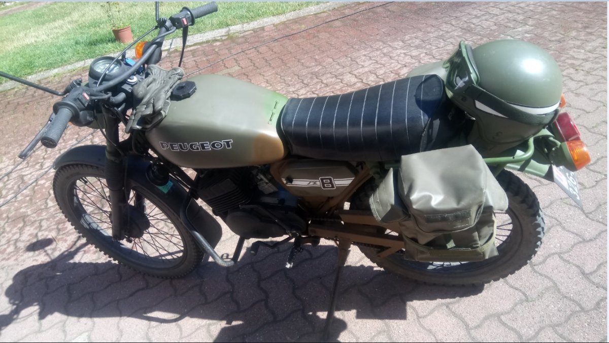 SX 31072.jpg