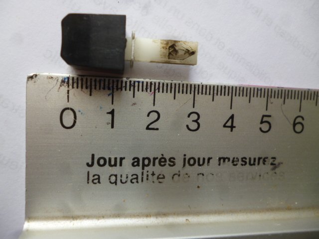 P1030013.JPG