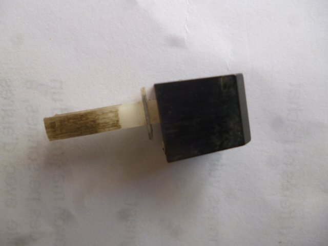 P1030017.JPG