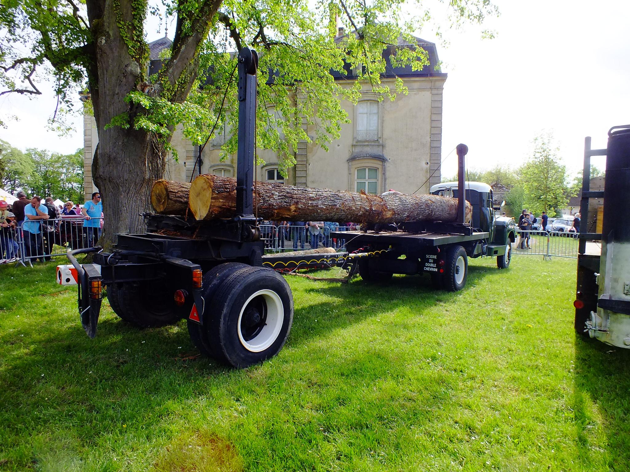 DSCF8973.JPG