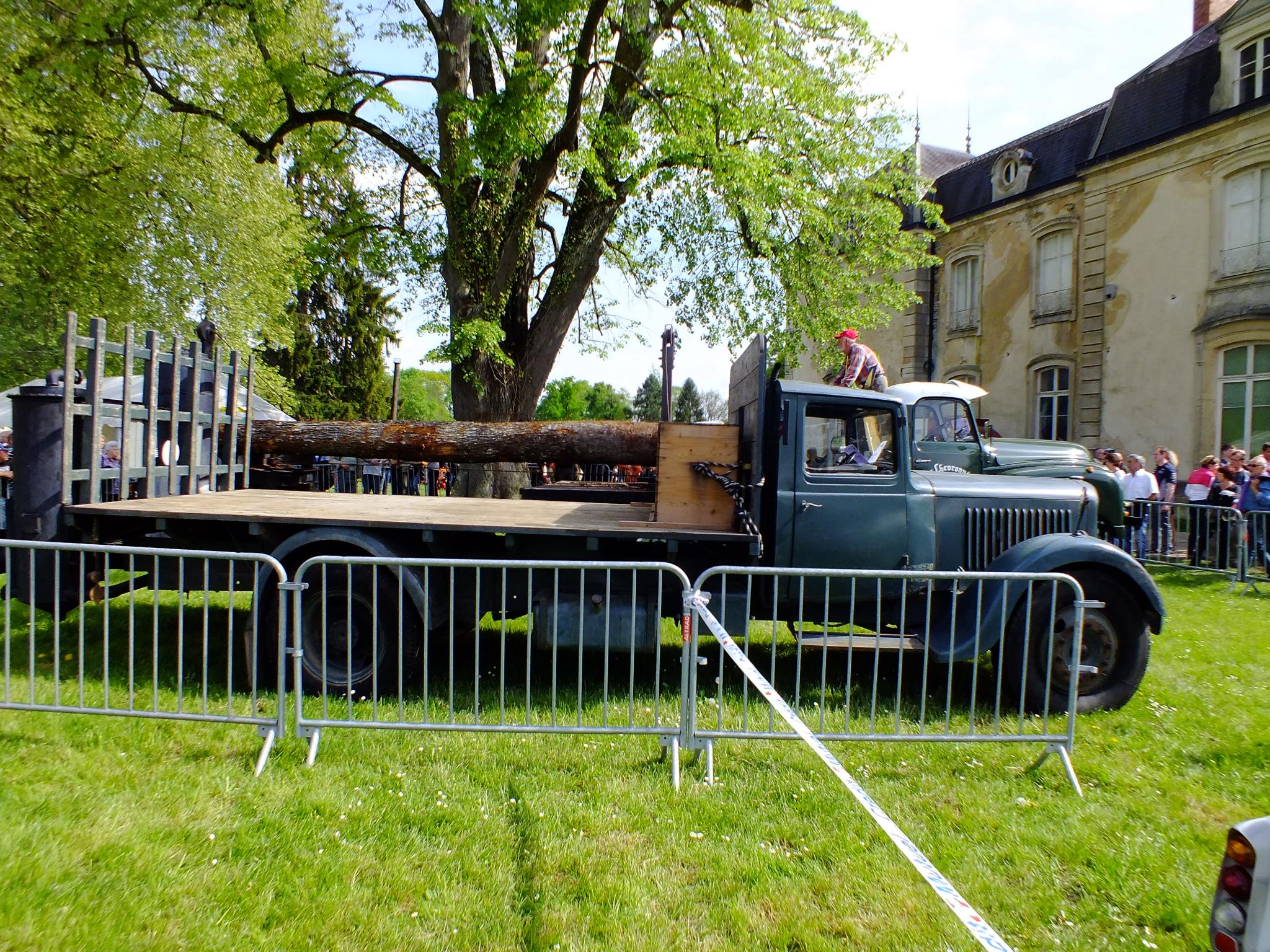 DSCF8994.JPG