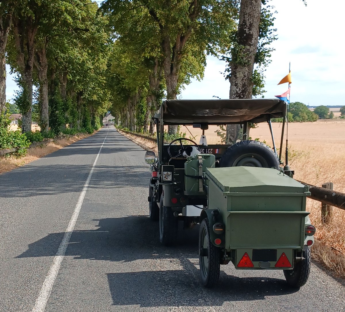 Route arbre MA.jpg