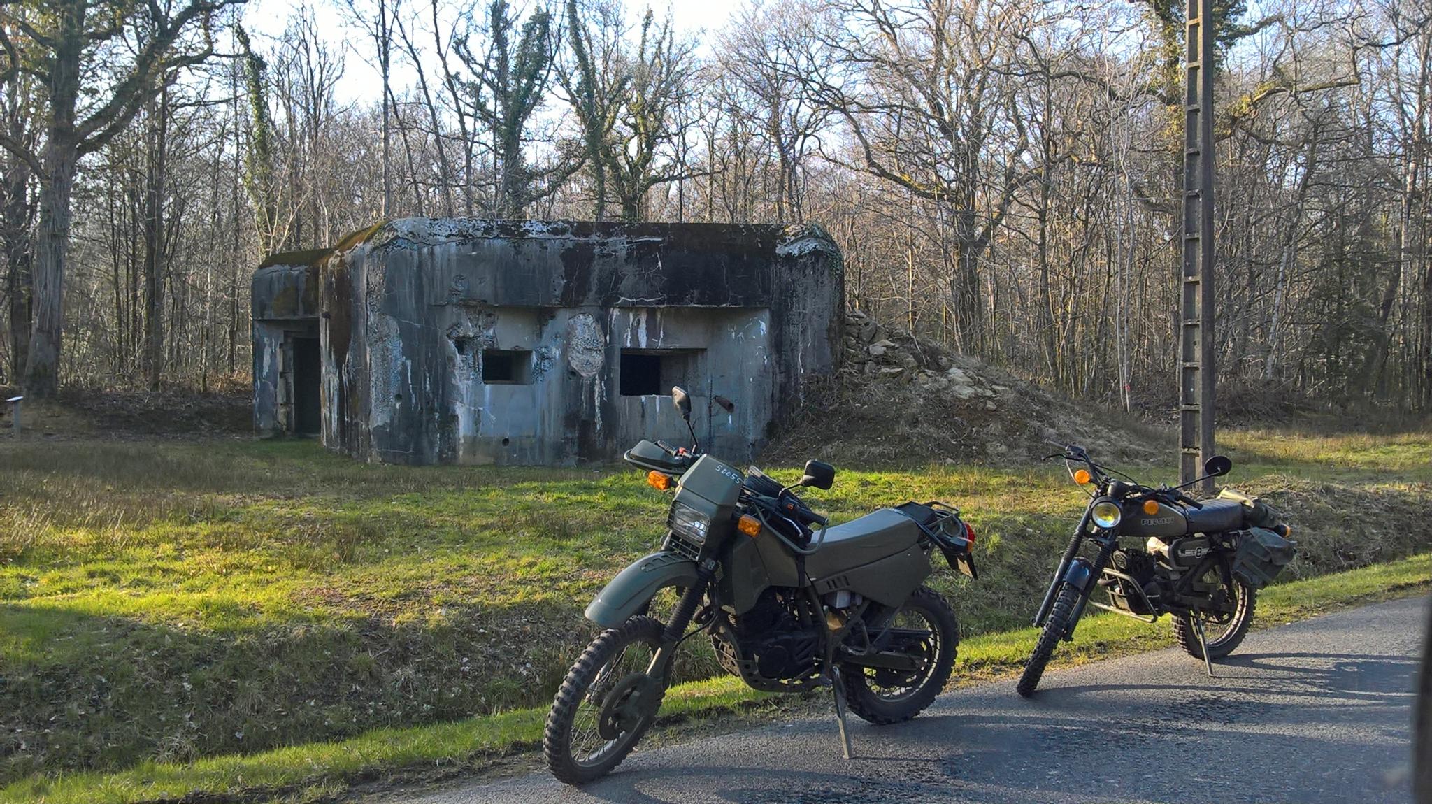 WP_20180324_17_05_19_Pro.jpg