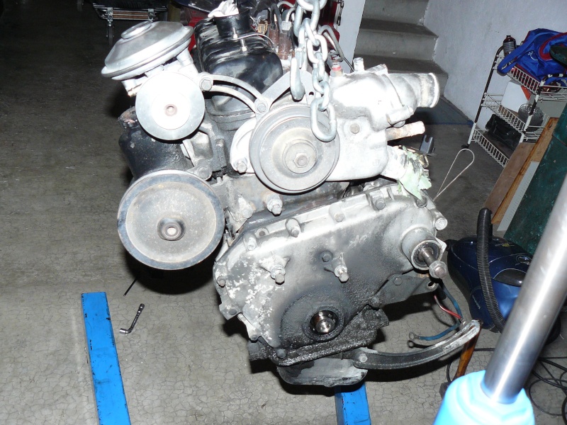 p1130941.jpg