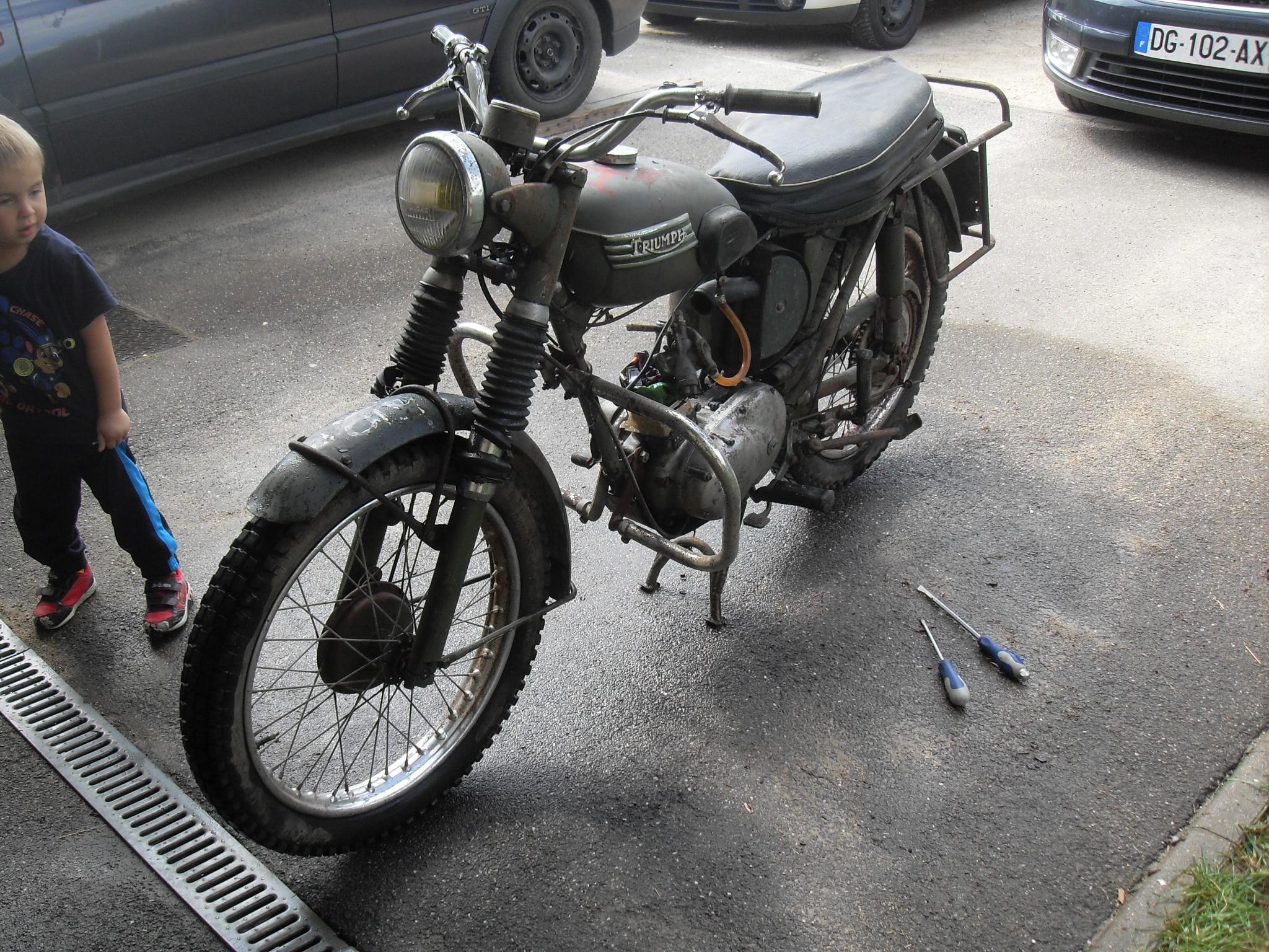 SDC10486.JPG