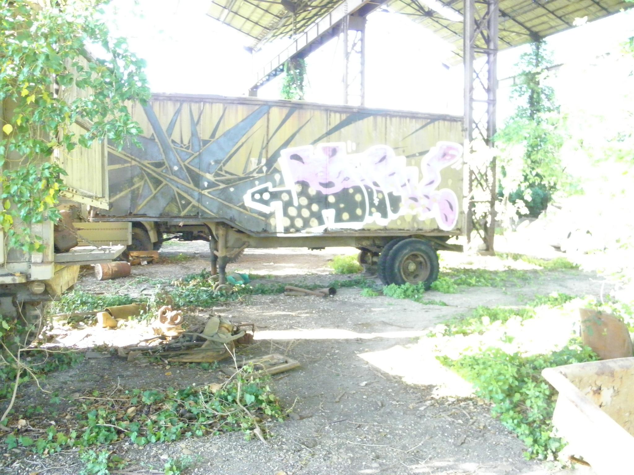P4180022.JPG