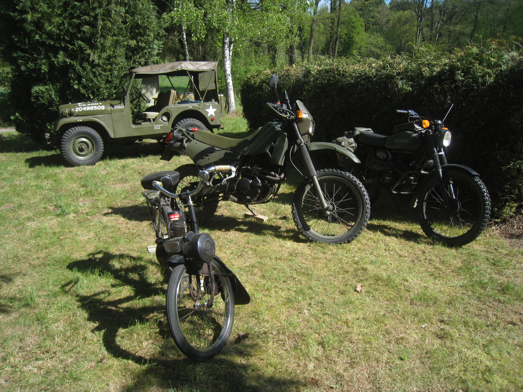IMG_6081.JPG