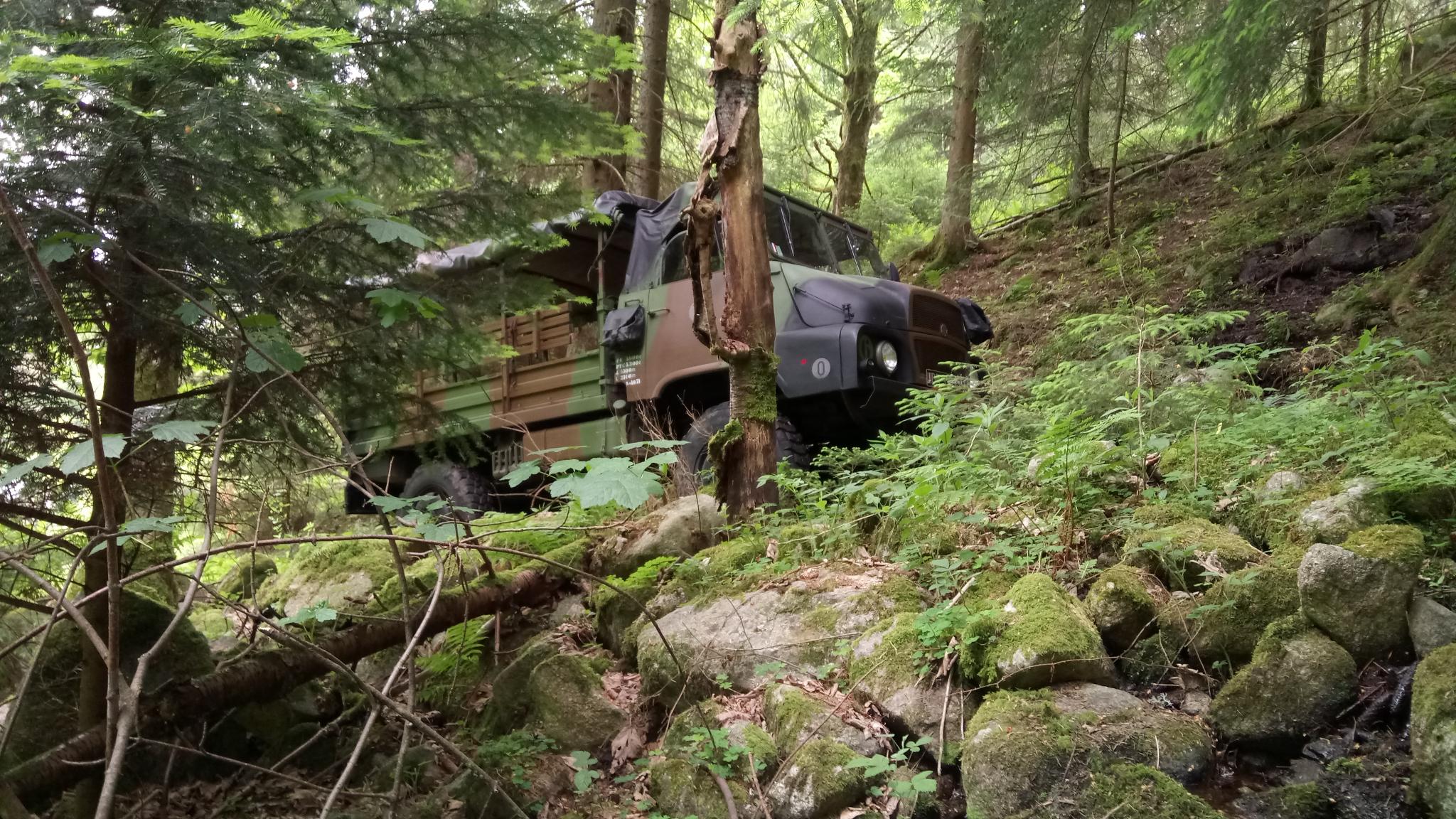 DSC_5909.JPG